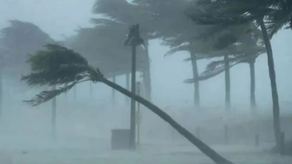 দুপুরের মধ্যে ৫০ কিমি বেগে ঝড় ও বজ্রসহ বৃষ্টির আভাস